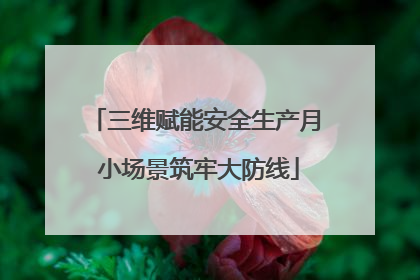 三维赋能安全生产月 小场景筑牢大防线