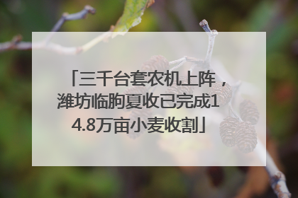 三千台套农机上阵，潍坊临朐夏收已完成14.8万亩小麦收割