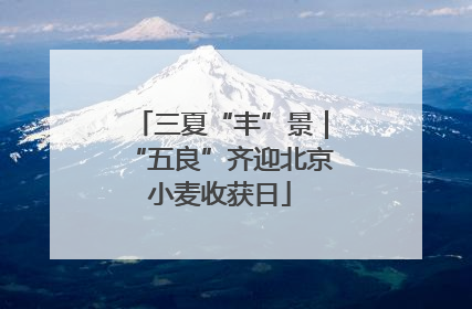 三夏“丰”景｜“五良”齐迎北京小麦收获日