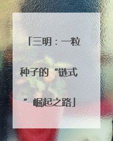三明：一粒种子的“链式”崛起之路