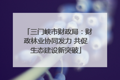 三门峡市财政局：财政林业协同发力 共促生态建设新突破