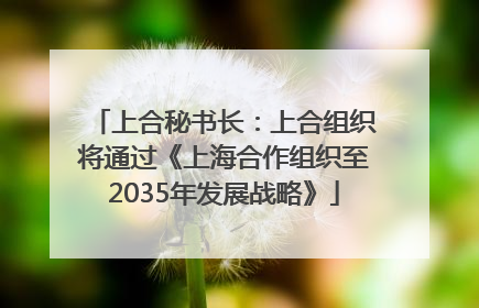 上合秘书长：上合组织将通过《上海合作组织至2035年发展战略》
