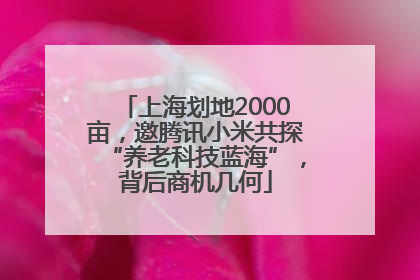 上海划地2000亩，邀腾讯小米共探“养老科技蓝海”，背后商机几何