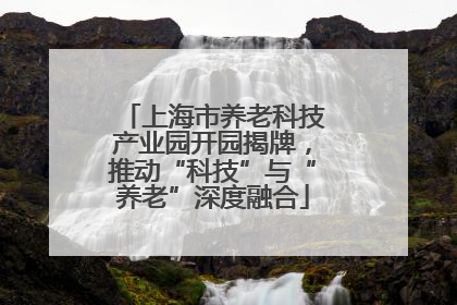 上海市养老科技产业园开园揭牌，推动“科技”与“养老”深度融合