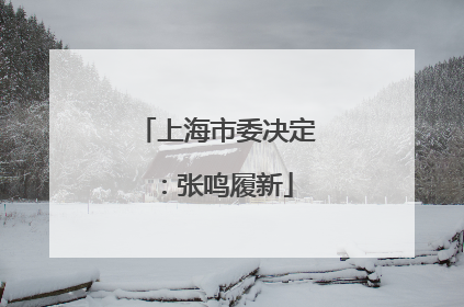 上海市委决定：张鸣履新