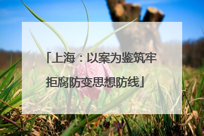 上海：以案为鉴筑牢拒腐防变思想防线