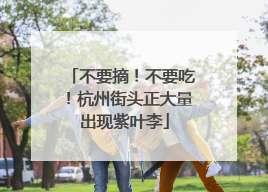 不要摘！不要吃！杭州街头正大量出现紫叶李