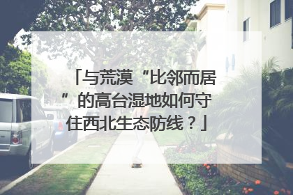 与荒漠“比邻而居”的高台湿地如何守住西北生态防线？