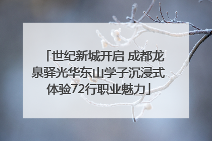 世纪新城开启 成都龙泉驿光华东山学子沉浸式体验72行职业魅力