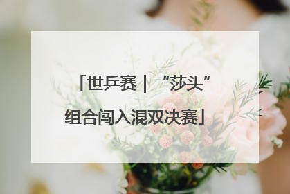 世乒赛｜“莎头”组合闯入混双决赛