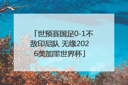 世预赛国足0-1不敌印尼队 无缘2026美加墨世界杯
