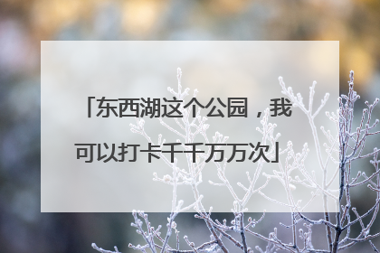 东西湖这个公园，我可以打卡千千万万次