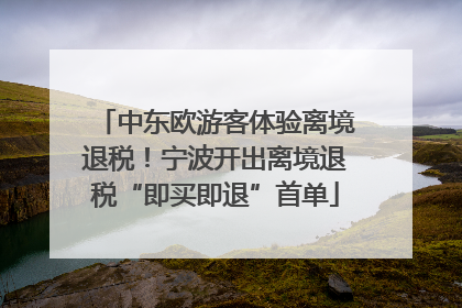 中东欧游客体验离境退税！宁波开出离境退税“即买即退”首单
