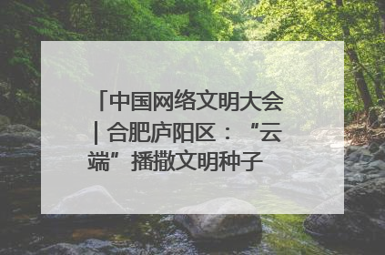 中国网络文明大会｜合肥庐阳区：“云端”播撒文明种子 共建清朗网络空间