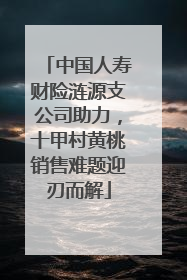中国人寿财险涟源支公司助力，十甲村黄桃销售难题迎刃而解