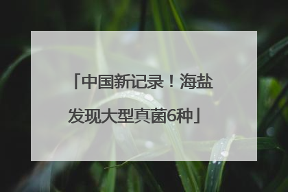 中国新记录！海盐发现大型真菌6种
