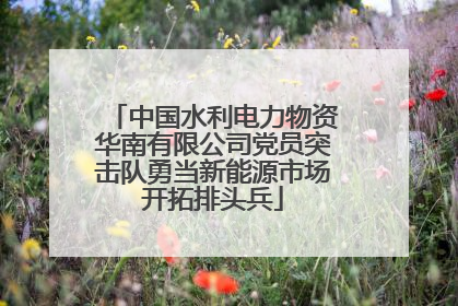 中国水利电力物资华南有限公司党员突击队勇当新能源市场开拓排头兵