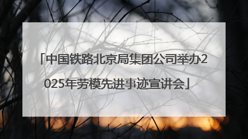 中国铁路北京局集团公司举办2025年劳模先进事迹宣讲会