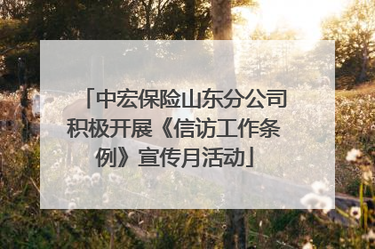 中宏保险山东分公司积极开展《信访工作条例》宣传月活动