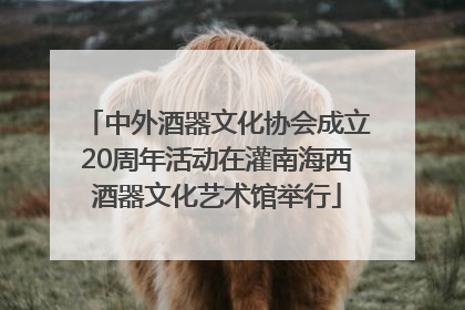 中外酒器文化协会成立20周年活动在灌南海西酒器文化艺术馆举行
