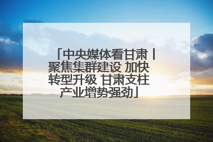中央媒体看甘肃丨聚焦集群建设 加快转型升级 甘肃支柱产业增势强劲