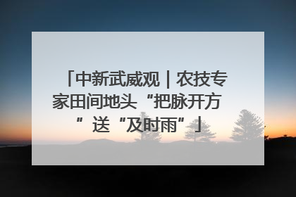 中新武威观｜农技专家田间地头“把脉开方”送“及时雨”