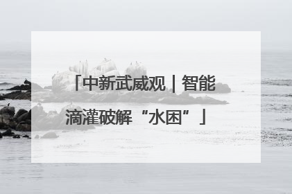 中新武威观｜智能滴灌破解“水困”