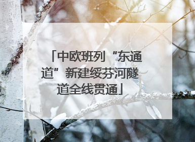 中欧班列“东通道”新建绥芬河隧道全线贯通