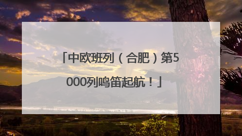 中欧班列（合肥）第5000列鸣笛起航！