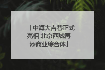 中海大吉巷正式亮相 北京西城再添商业综合体