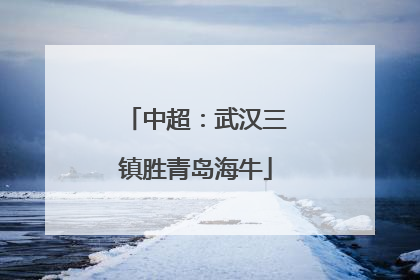 中超：武汉三镇胜青岛海牛
