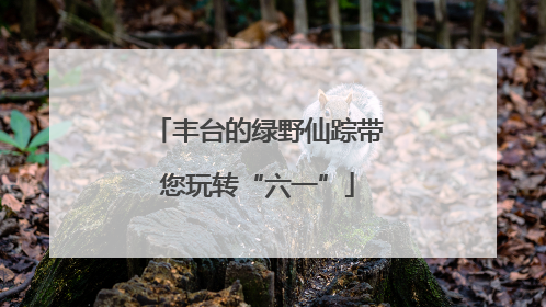 丰台的绿野仙踪带您玩转“六一”