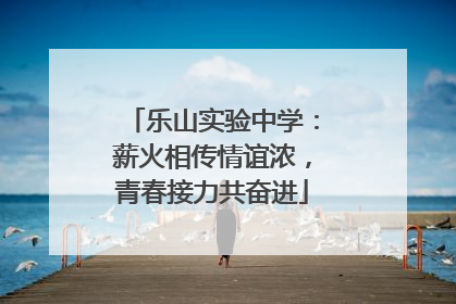 乐山实验中学：薪火相传情谊浓，青春接力共奋进