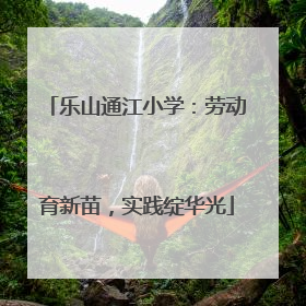 乐山通江小学：劳动育新苗，实践绽华光
