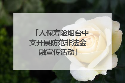 人保寿险烟台中支开展防范非法金融宣传活动