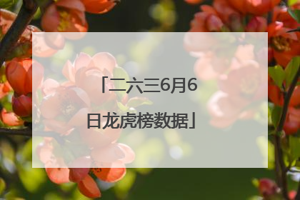 二六三6月6日龙虎榜数据