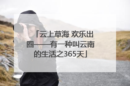 云上草海 欢乐出圈——有一种叫云南的生活之365天