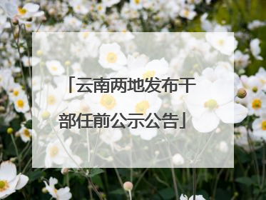 云南两地发布干部任前公示公告
