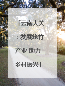 云南大关：发展筇竹产业 助力乡村振兴