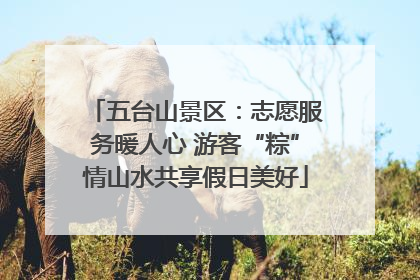 五台山景区：志愿服务暖人心 游客“粽”情山水共享假日美好