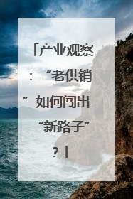 产业观察：“老供销”如何闯出“新路子”？