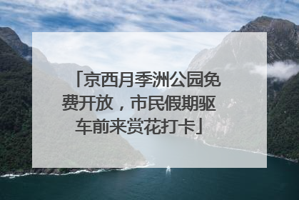 京西月季洲公园免费开放，市民假期驱车前来赏花打卡