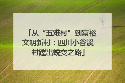 从“五难村”到富裕文明新村：四川小谷溪村蹚出蜕变之路