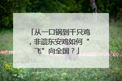 从一口锅到千只鸡，非遗东安鸡如何“飞”向全国？