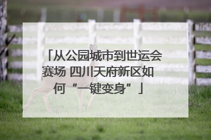 从公园城市到世运会赛场 四川天府新区如何“一键变身”