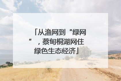 从渔网到“绿网”，蔡甸桐湖网住绿色生态经济