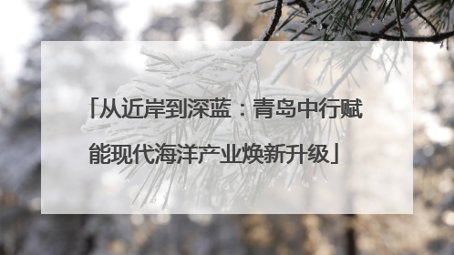 从近岸到深蓝：青岛中行赋能现代海洋产业焕新升级