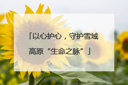 以心护心，守护雪域高原“生命之脉”