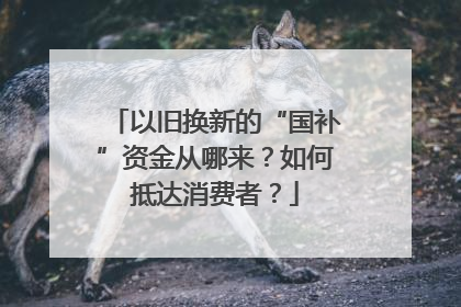 以旧换新的“国补”资金从哪来？如何抵达消费者？