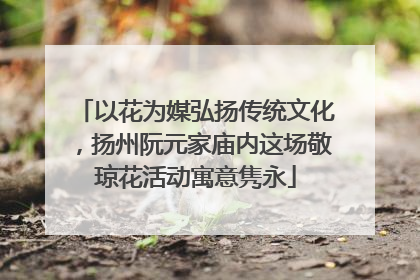 以花为媒弘扬传统文化，扬州阮元家庙内这场敬琼花活动寓意隽永